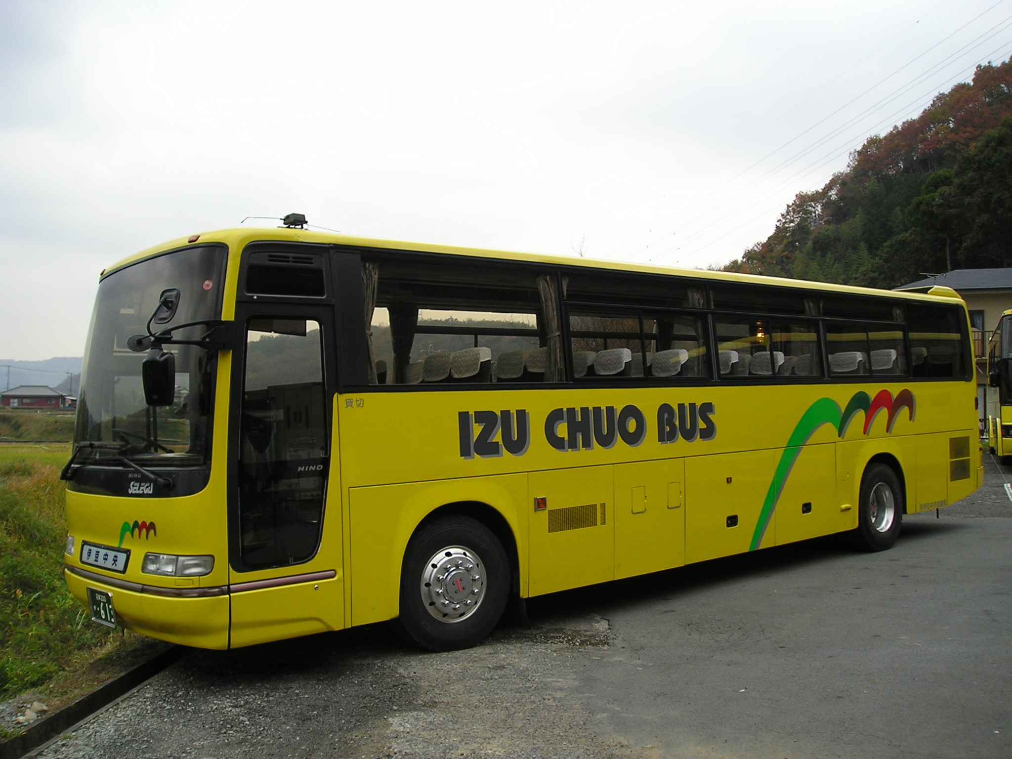 ��^�o�X55���摜